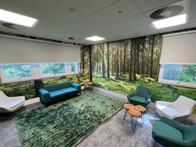 Forest Wellbeing Room